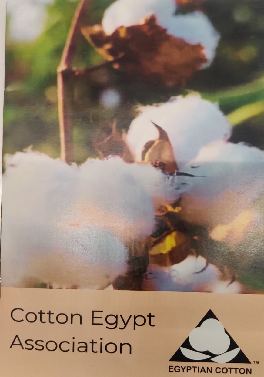 CottonEgypt
